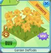GardenDaffodils.jpg