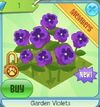 GardenViolets.jpg