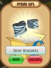 1silverbracelets.jpeg
