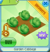 GardenCabbage.png