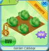 GardenCabbage