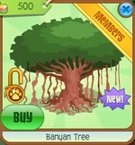 Banyan tree