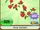 Friendship Shop Items