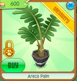 ArecaPalm