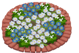 Petunia flower bed1
