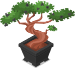 Bonsai 3