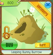 Leaping Bunny Burrow.png