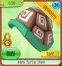 Rare Turtle Shell