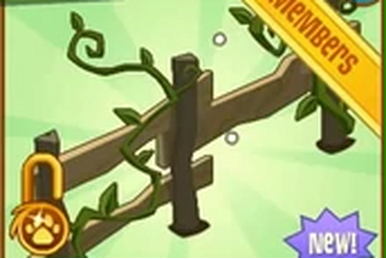 Cami's Frog, Animal Jam Classic Wiki