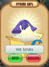 VetScrubs.png