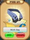 Work rag.jpeg