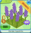 GardenHyacinths.png