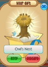 Owl's nest.png