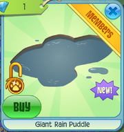 Rainpuddle1.png
