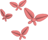 2020-06-08 (5).png