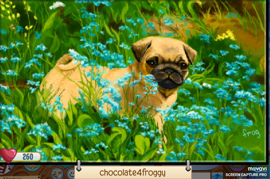 Category Blog Posts Animal Jam Item Worth Wiki Fandom - pugs life beta roblox