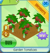 GardenTomatoes.png