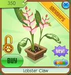 Treetop-Gardens Lobster-Claw Pink