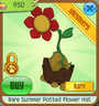 RareSummerPottedFlowerHat