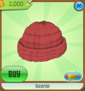 BEANIE02.PNG.png