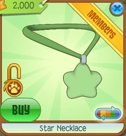 Star Necklace6.png