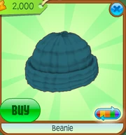 Beanie1.png