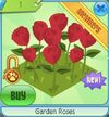 GardenRoses.jpg