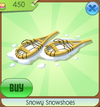 Snowshoes.png