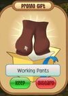 Working pants.jpeg