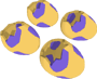Rare Egg Shoes