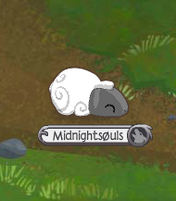 Sheep Sleeping.png