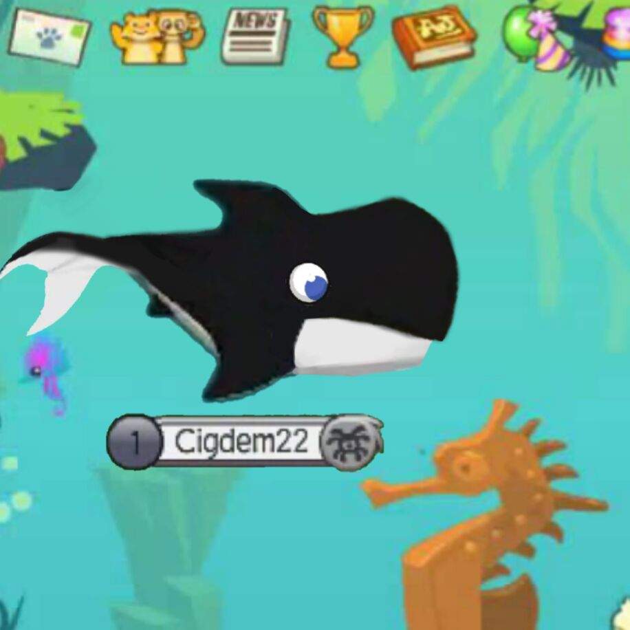 Whale | Animal Jam Fanon Wiki | Fandom