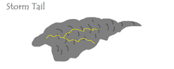 Storm Tail Armor.png