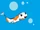 Koi