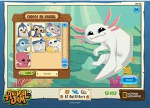Axolotljamaa.jpg