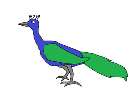 Peacock