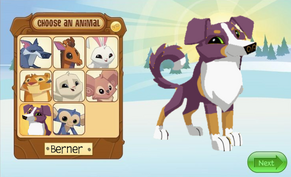 Berner animal jam classic in the choose an animal screen