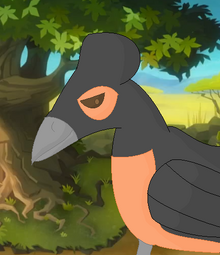 Maleo.png