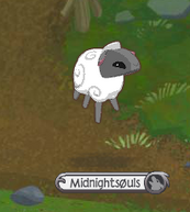 Sheep Mid-hop.png