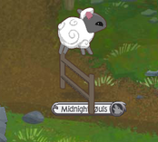 Sheep Playing.png