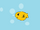 Pet Pufferfish