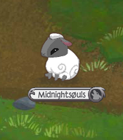 Sheep Sitting.png