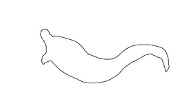 Ghost Tail.png