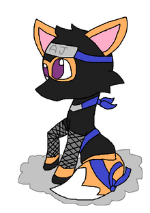 Ninja set.png
