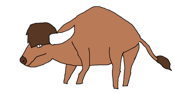 Bison