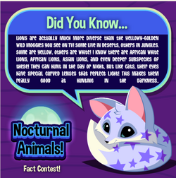 Nocturnal Animals | Animal Jam Wiki | Fandom