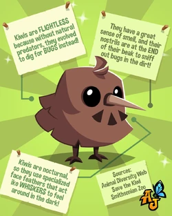 Pet Kiwi | Animal Jam Wiki | Fandom