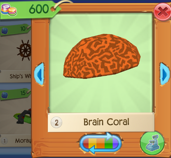 AQ Brain 1