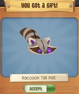 4254865C-6D05-48E2-8476-0C97E555A8BA.jpeg (184 KB) Raccoon Tail Hat from Daily Spin