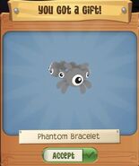 Phantom Bracelet from Phantom Rifts